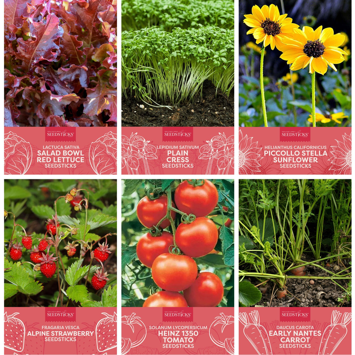 Kid's Nursery Seedsticks - product image 8