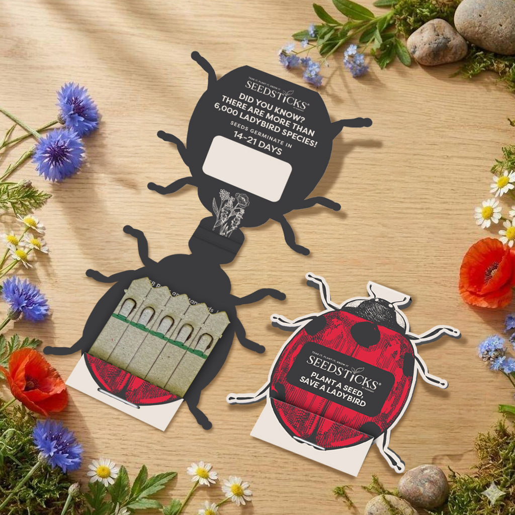 Ladybird Seedsticks wildflower gift lifestyle