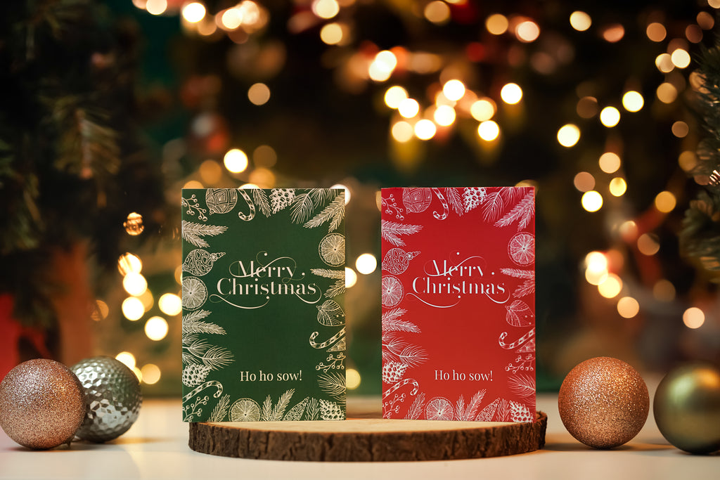 Green and red Merry Christmas Seedsticks greeting cards in a festive setting
