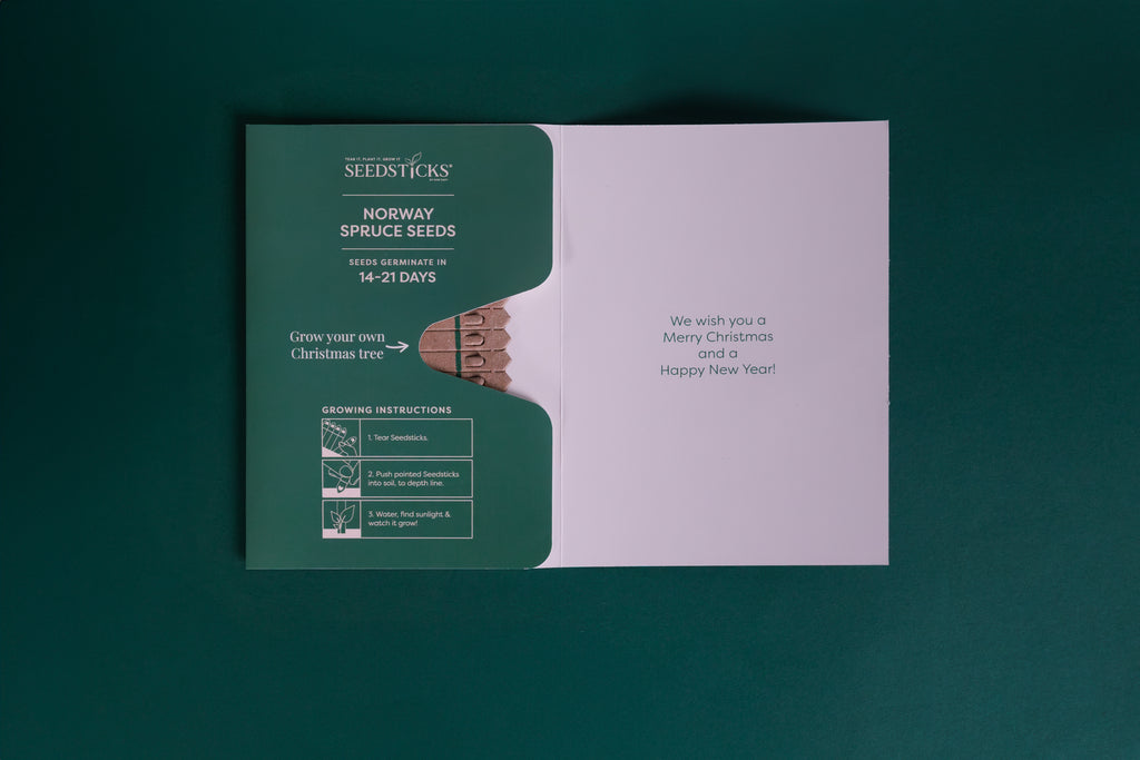 Merry Christmas Seedsticks greeting card opened to show Norway spruce seeds and planting instructions