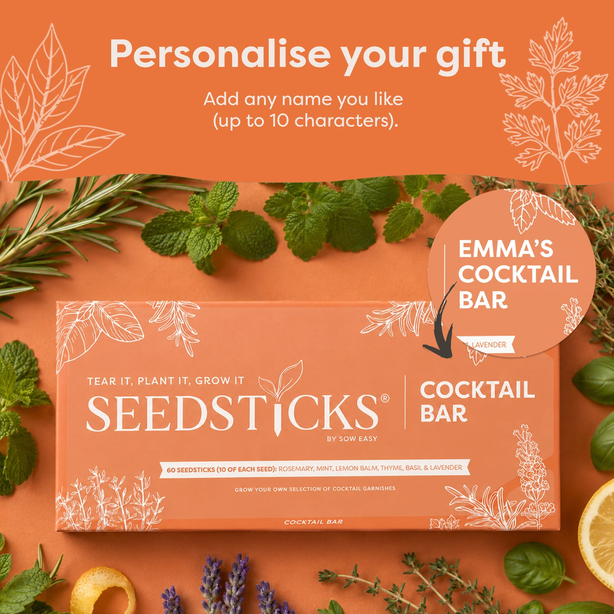 Cocktail Bar Seedsticks - alternate product view