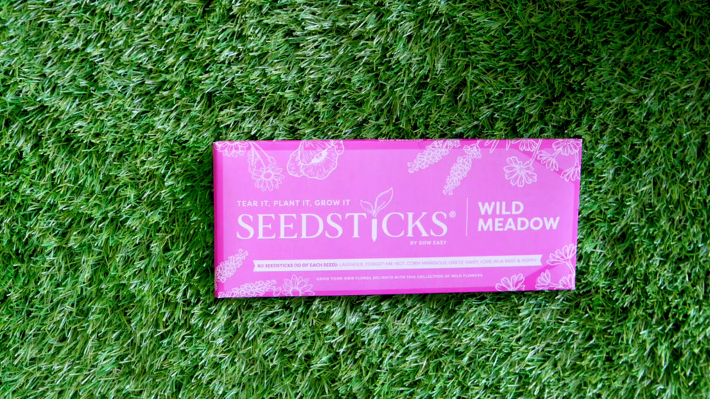 Wild Meadow Seedsticks unboxing demonstration