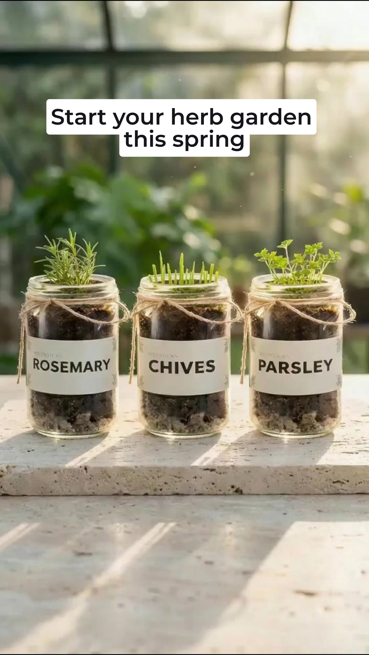 Indoor Herb Garden with rosemary lifestyle demonstration