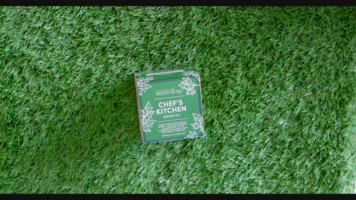 Desktop Cube Gardens unboxing demonstration