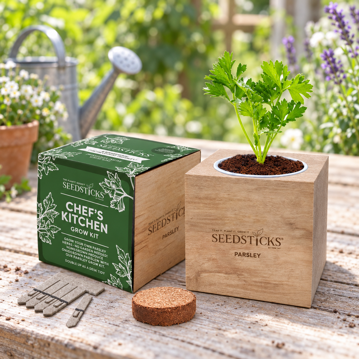 Parsley Desktop Cube Garden with wooden planter and Seedsticks in a garden setting