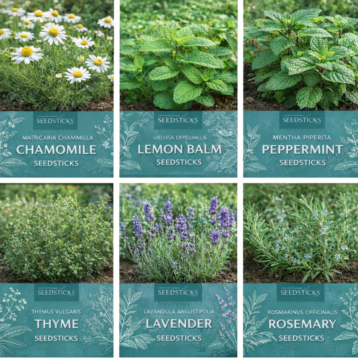 Tea Garden Seedsticks - product image 6