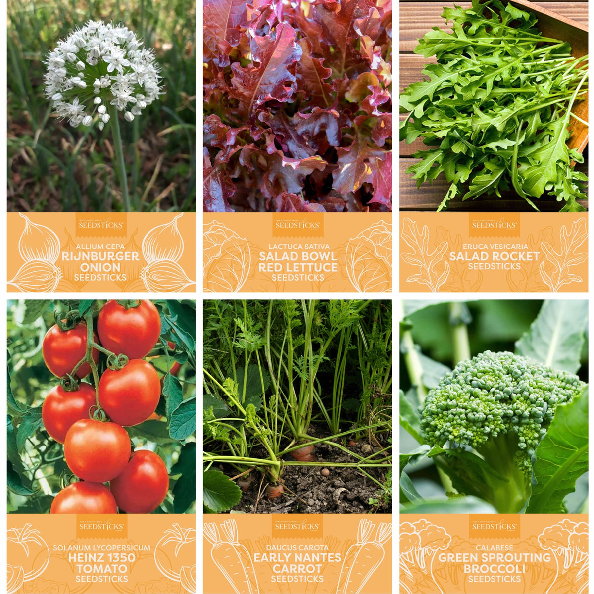 Veggie Patch Seedsticks - product image 7