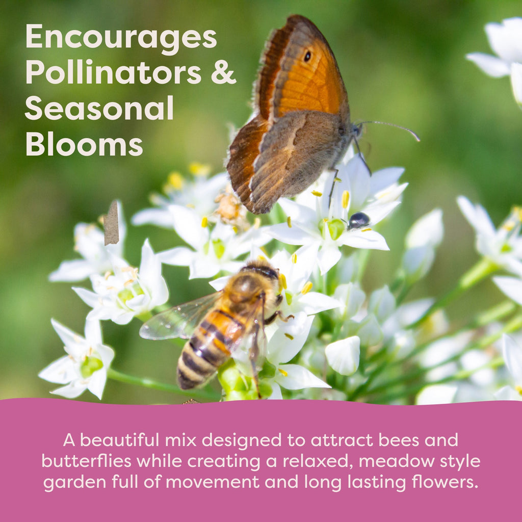 Wild Meadow Seedsticks key features and gift box details