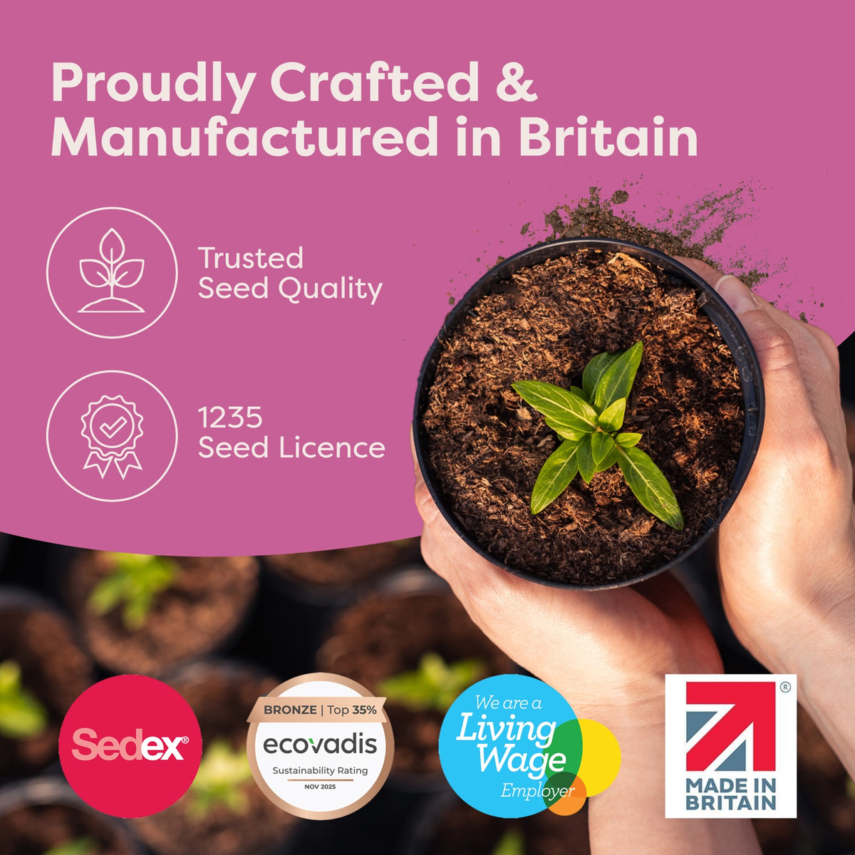 Wild Meadow Seedsticks proudly made in Britain